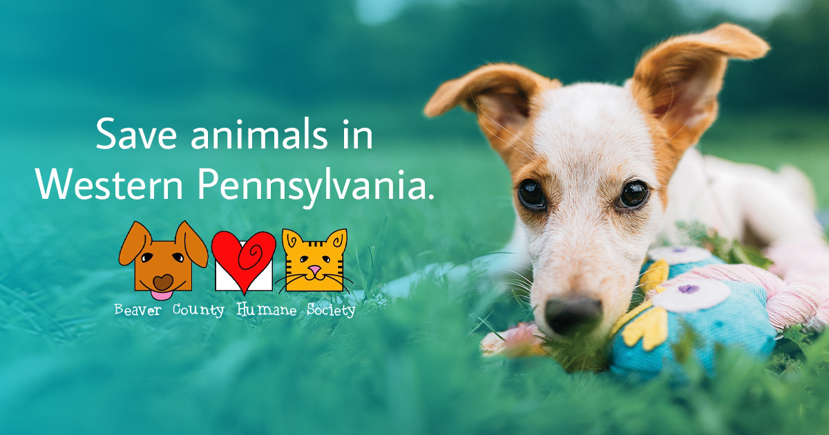 Donate Beaver County Humane Society